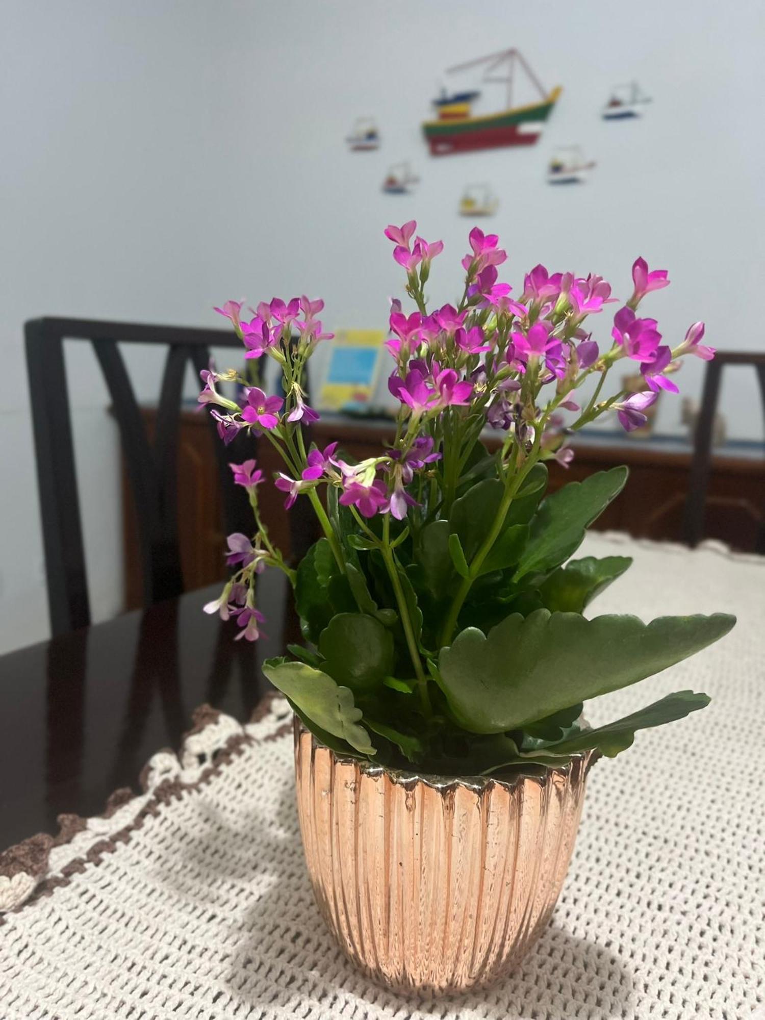 Casa De Praia Caraguatatuba Massaguacu Екстериор снимка